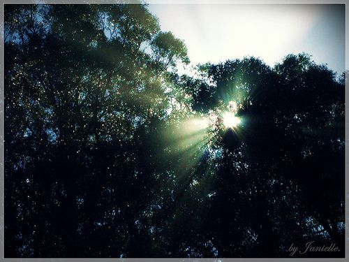 Rays of hope